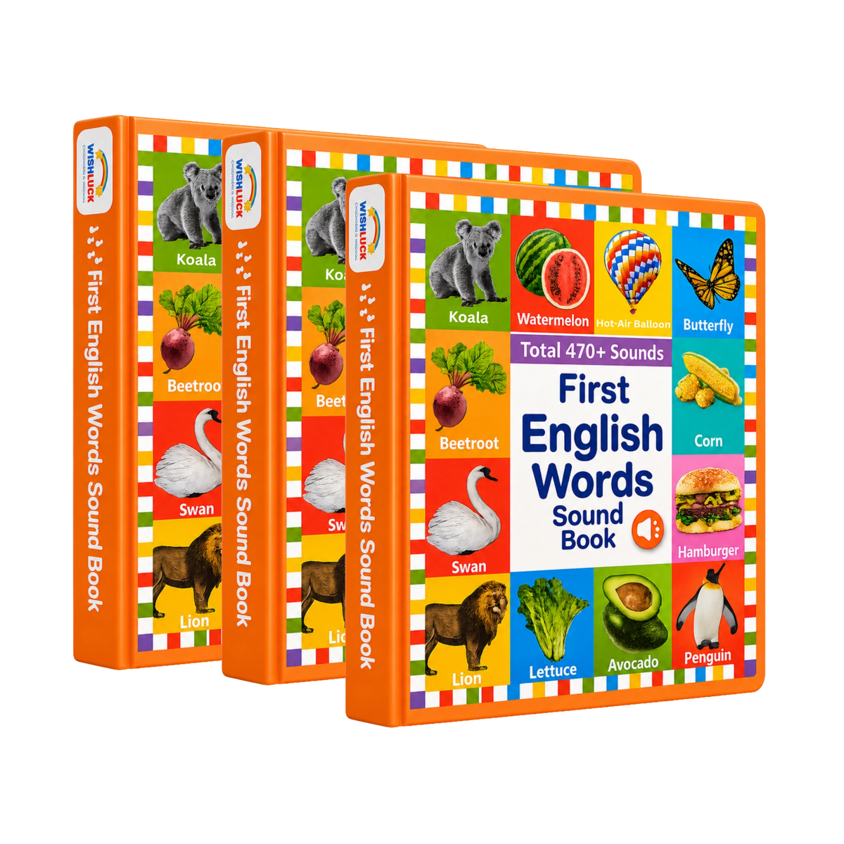 First Vocabulary Sound Book
