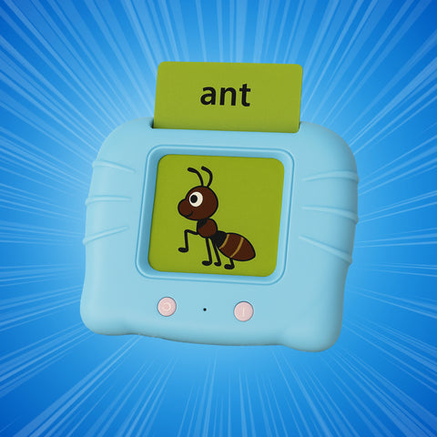 Wishluck's Educational Learning Talking Flash Cards 112 double sided cards