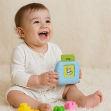Wishluck's Educational Learning Talking Flash Cards  - 112 double-sided cards