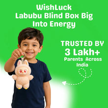Labubu Blind Box Big Into Energy
