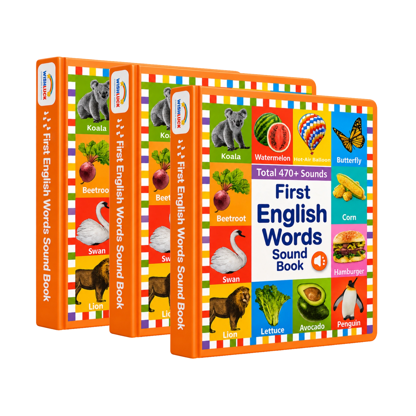 First Vocabulary Sound Book