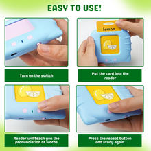 Wishluck Smart Talking Flash Learning Cards