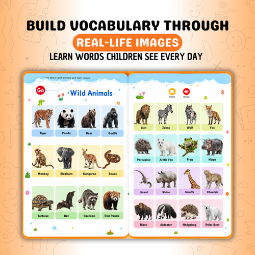 First Vocabulary Sound Book
