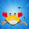 Crawl & Learn Crab - Tummy Time Hack Toy  (USB Charging)