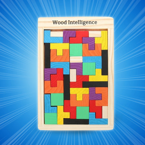 Wooden Intelligence Blocks Puzzle