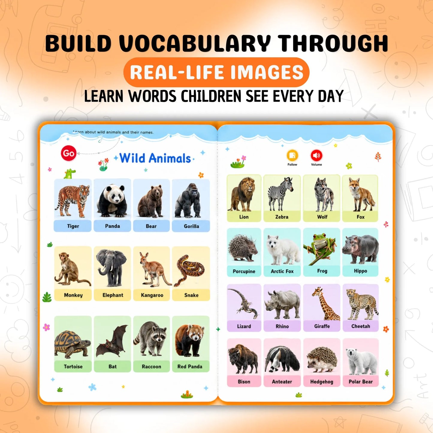 First Vocabulary Sound Book