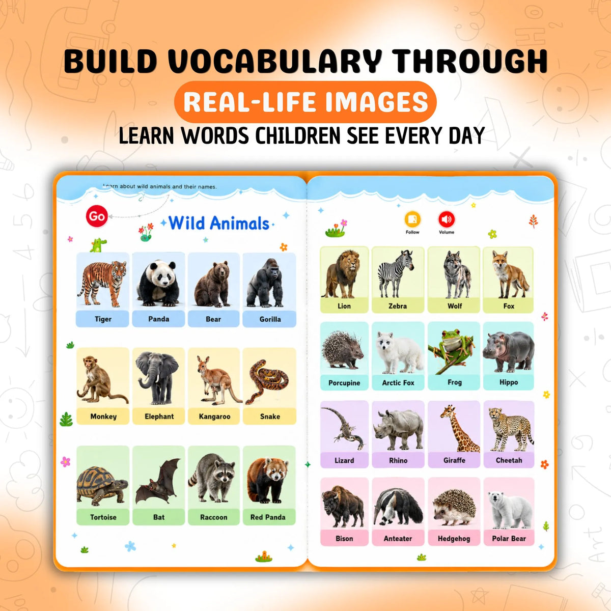First Vocabulary Sound Book