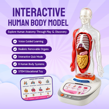 Interactive Human Talking Model For Kids