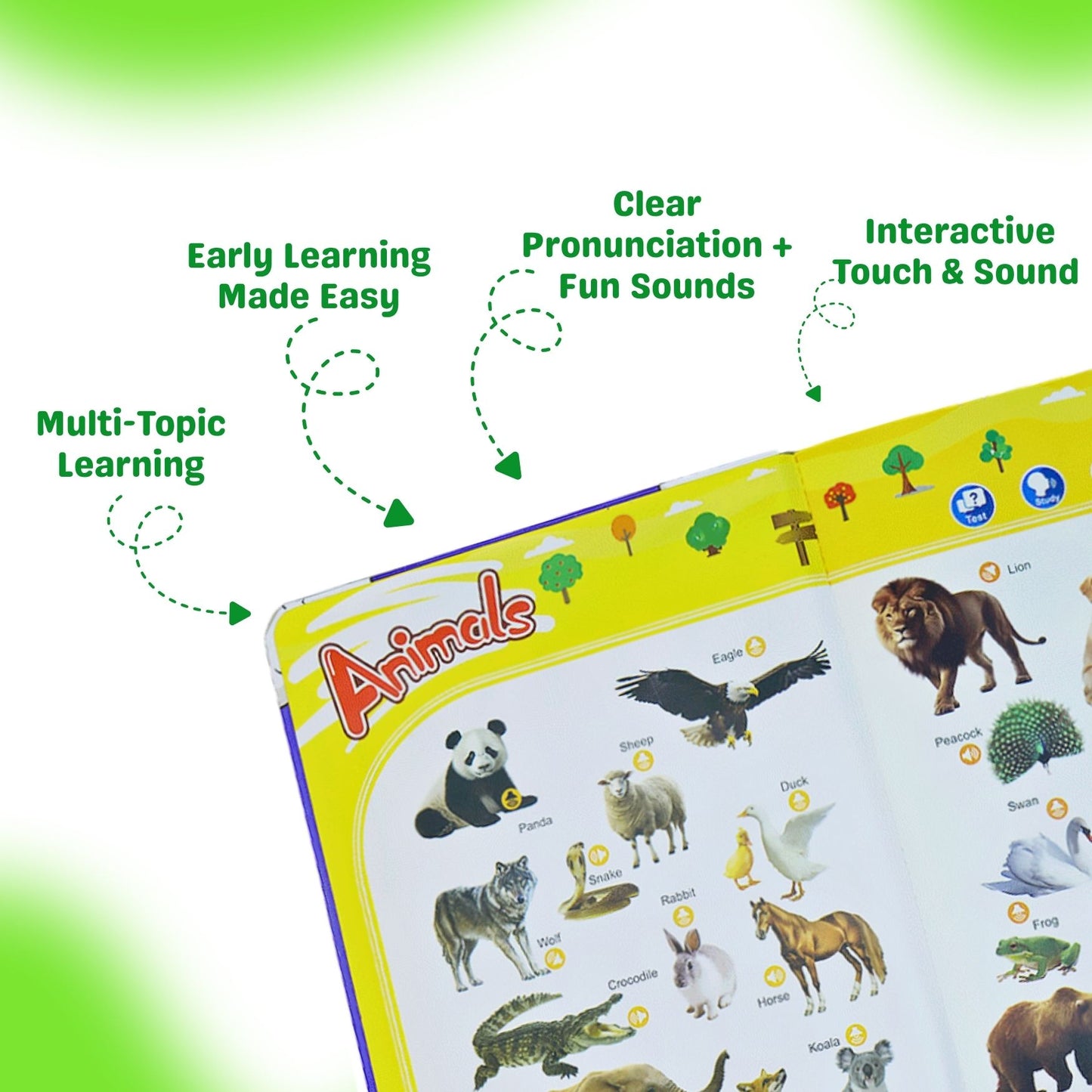 My First English Word Sound Book
