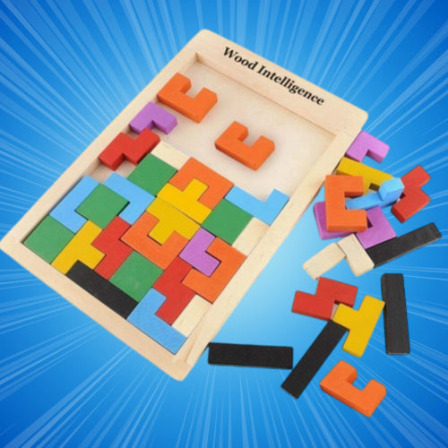 Wooden Intelligence Blocks Puzzle