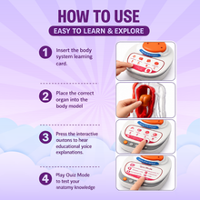 Interactive Human Talking Model For Kids