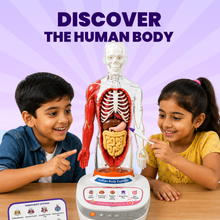 Interactive Human Talking Model For Kids