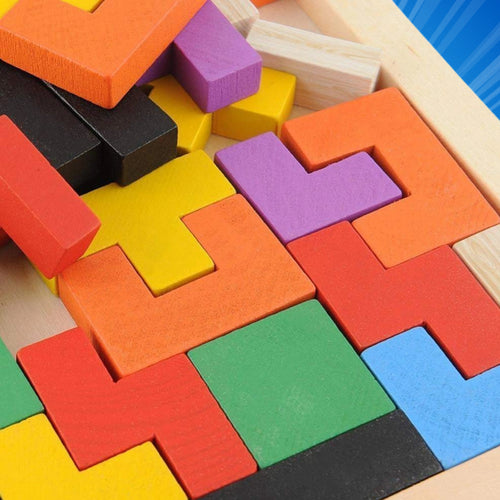 Wooden Intelligence Blocks Puzzle