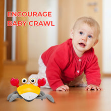 Crawl & Learn Crab - Tummy Time Hack Toy  (USB Charging)