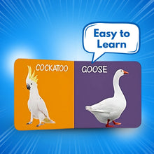 LKG Class Picture Book Box Set Of 10 Board Books