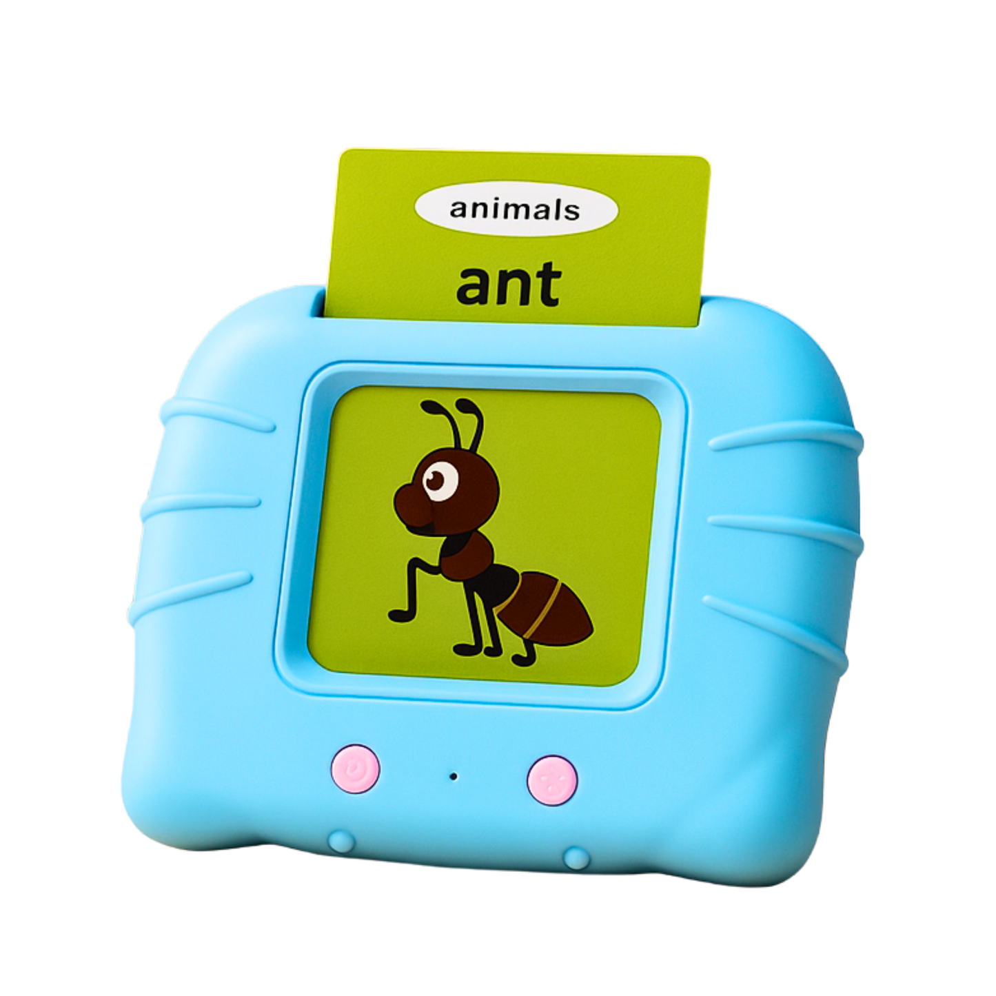 Wishluck Smart Talking Flash Learning Cards