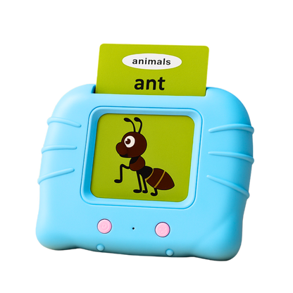 Wishluck Smart Talking Flash Learning Cards