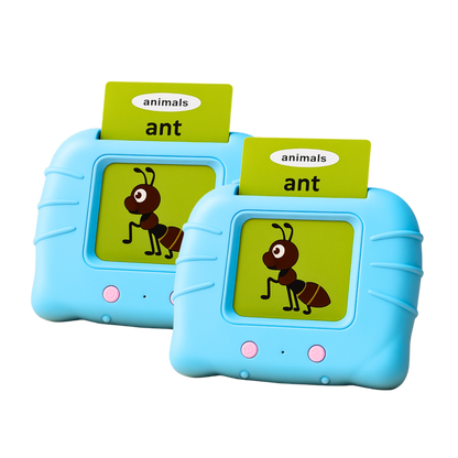 Wishluck Smart Talking Flash Learning Cards