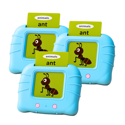 Wishluck Smart Talking Flash Learning Cards