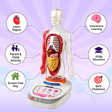 Interactive Human Talking Model For Kids