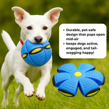Flying Saucer Ball For Kids and Dogs