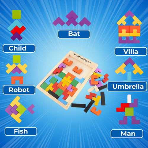 Wooden Intelligence Blocks Puzzle