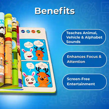 Learn & Play Interactive Sound Book