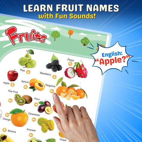 My First English Words Sound Book