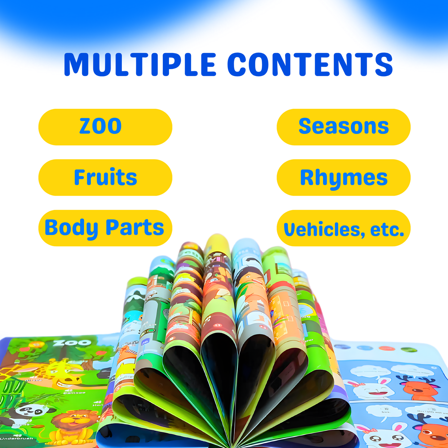 Learn & Play Interactive Sound Book!