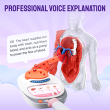 Interactive Human Talking Model For Kids