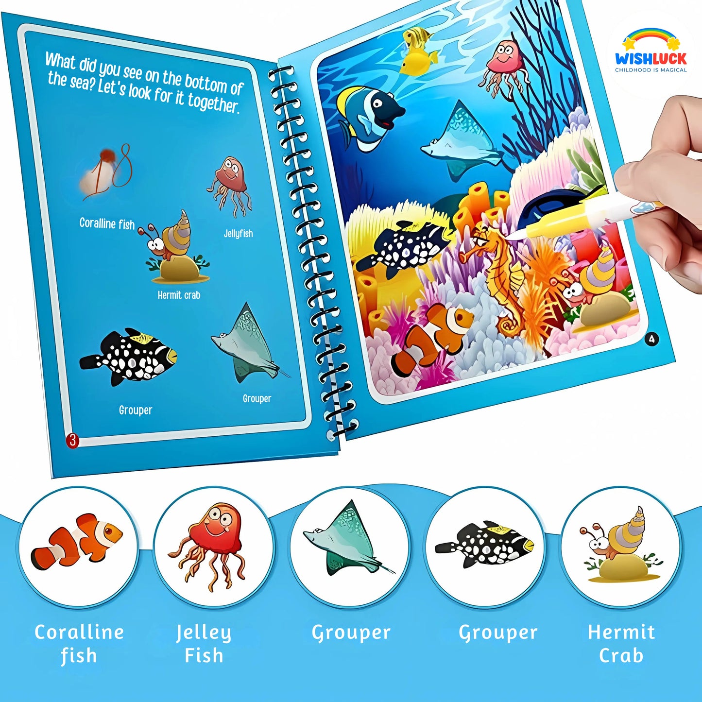 💥 3 in 1 LEARNING BUNDLE : Word Book, Writing Tablet and Water Magic Book ( Free )! 💥