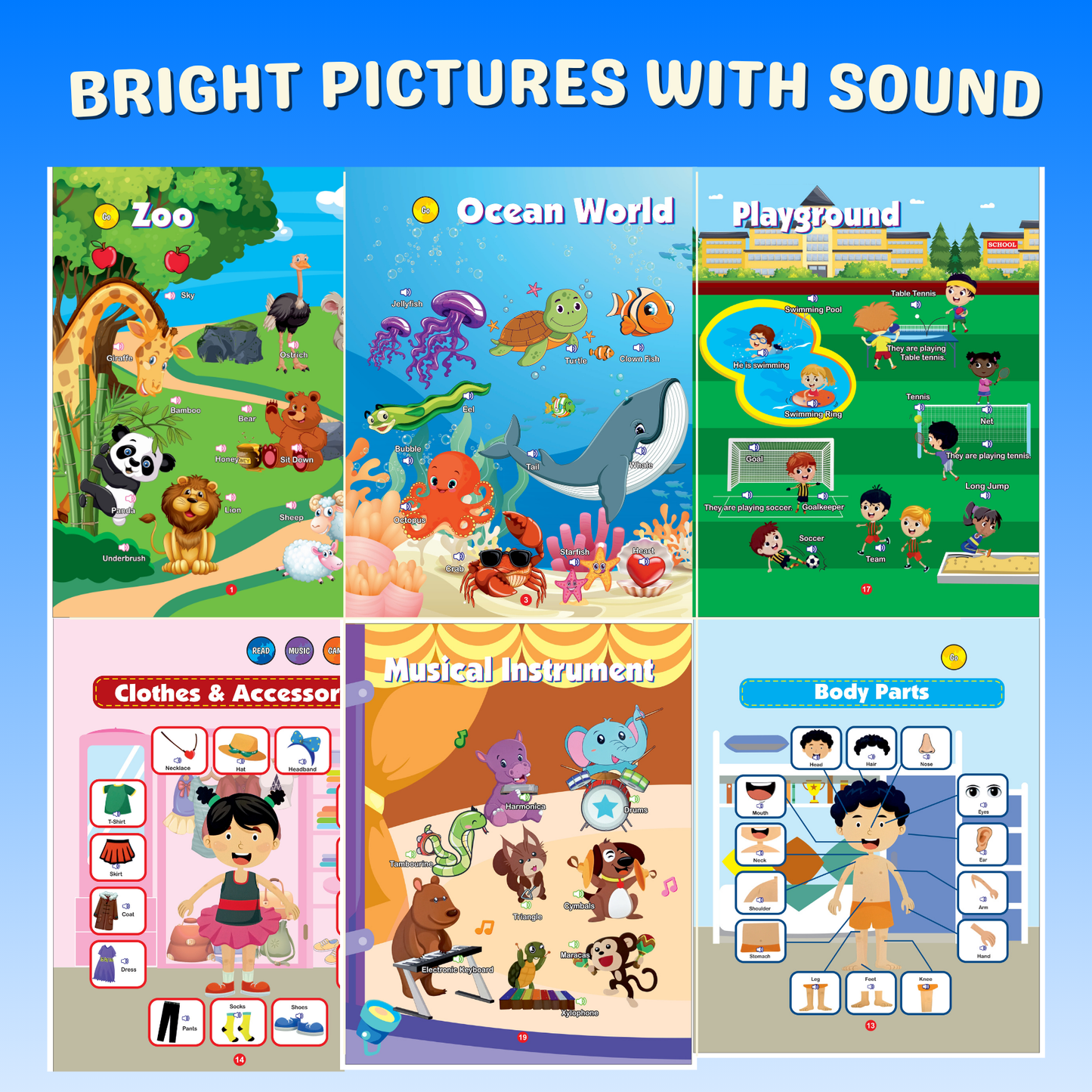Learn & Play Interactive Sound Book!