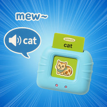 Wishluck's Educational Learning Talking Flash Cards  - 112 double-sided cards