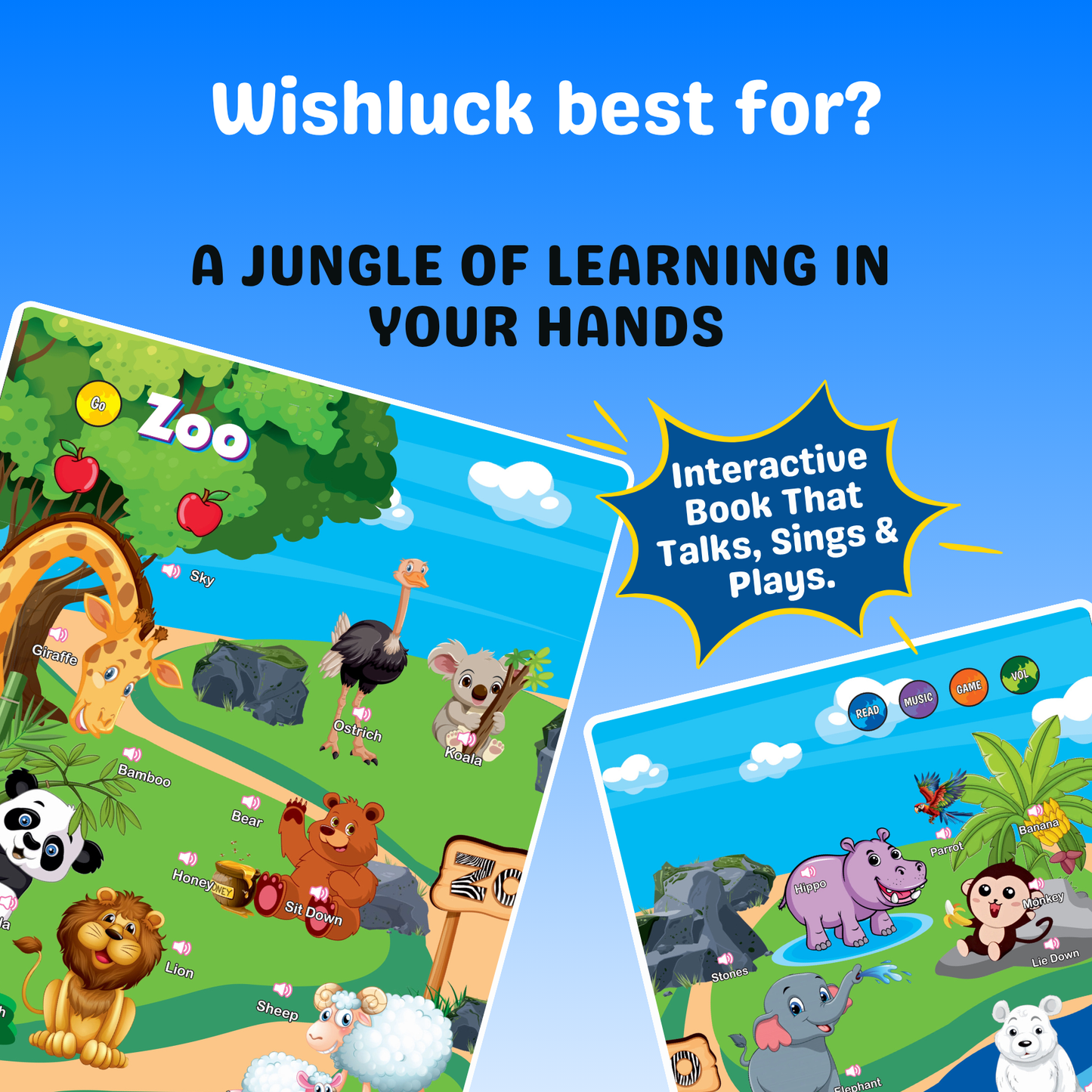 Learn & Play Interactive Sound Book!