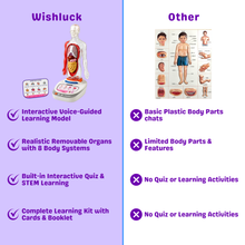 Interactive Human Talking Model For Kids