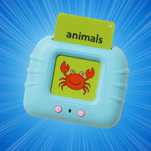 Wishluck's Educational Learning Talking Flash Cards  - 112 double-sided cards