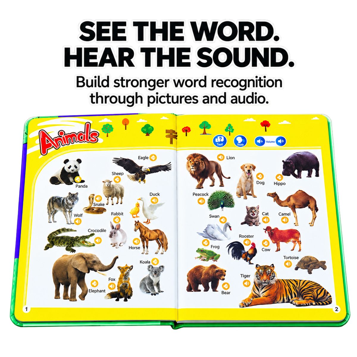 My First English Word Sound Book