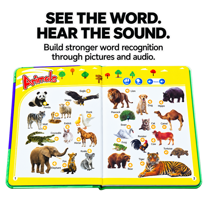 My First English Word Sound Book