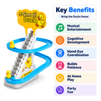 QuackTrail Musical 3 Pieces Duck Stairway Fun