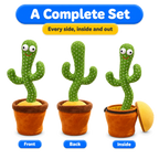 Talking Cactus Toy