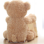 Wishluck's Interactive Peek-a-boo Bear